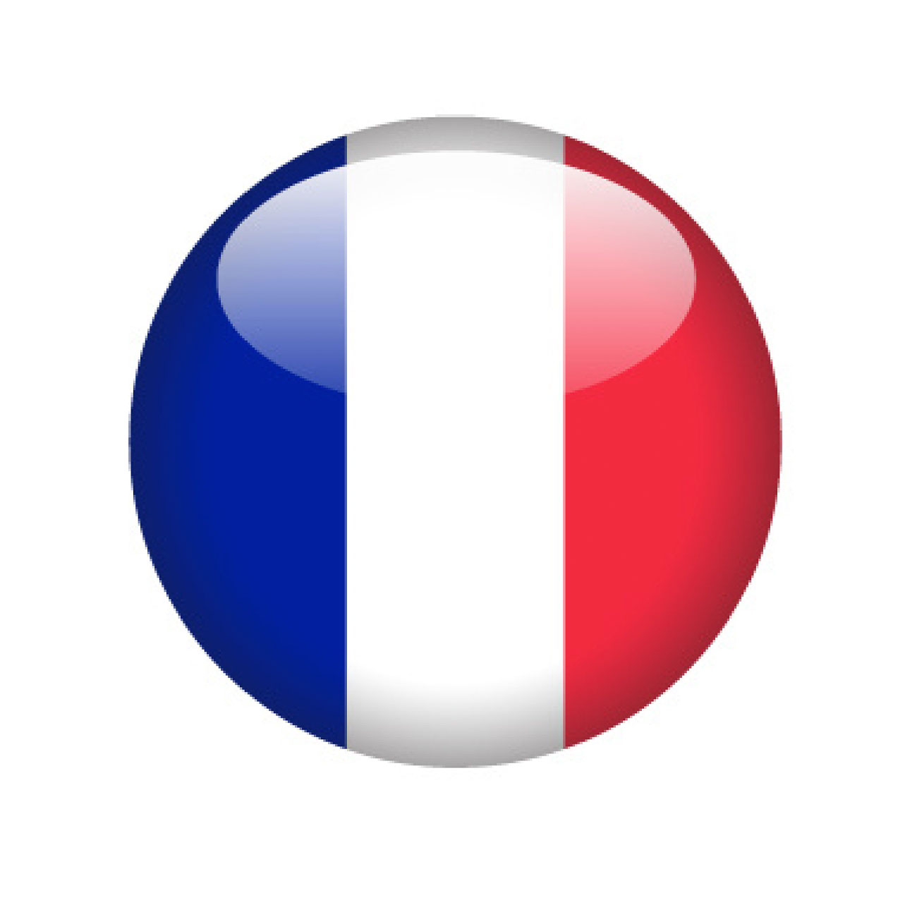 france country flag round icon