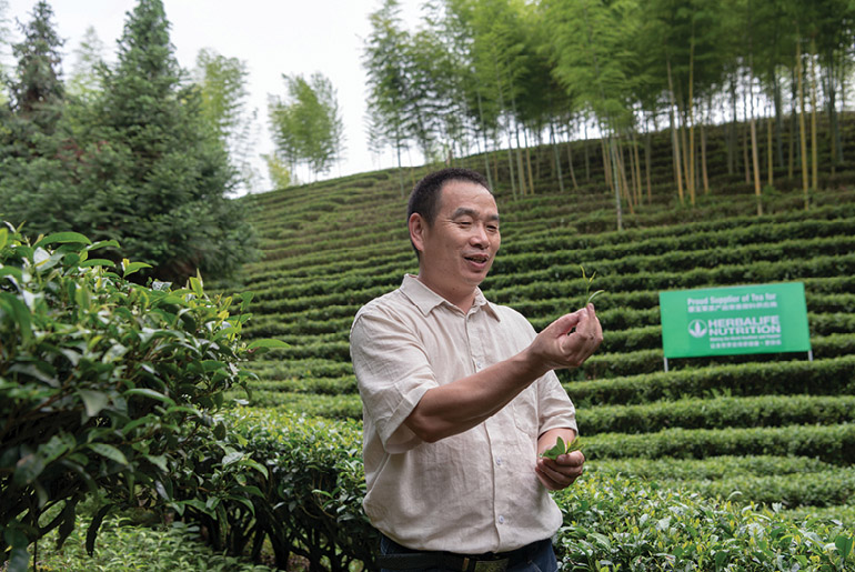 Man In Chinese Tea Field