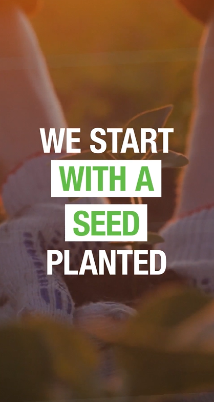 We Start With A Seed Planted