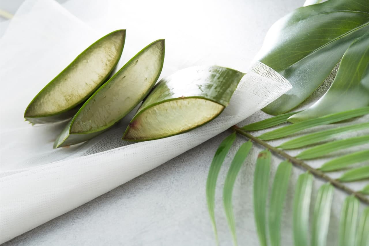 #DidYouKnow Aloe Vera is known for its hydrating and soothing properties? Coming soon.#NourishYourSkin