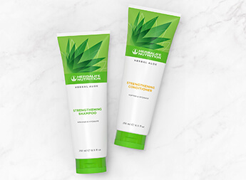 products aloe vera aloe plant