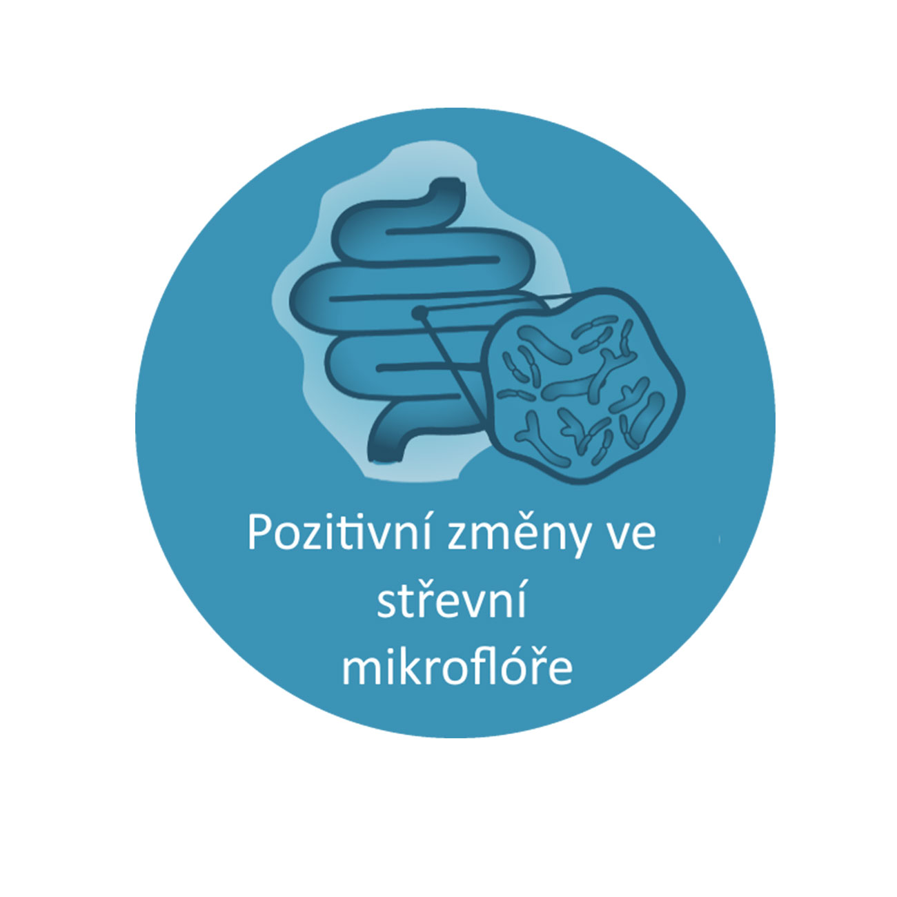 Prebiotikum - střevní mikroflóra - ikona