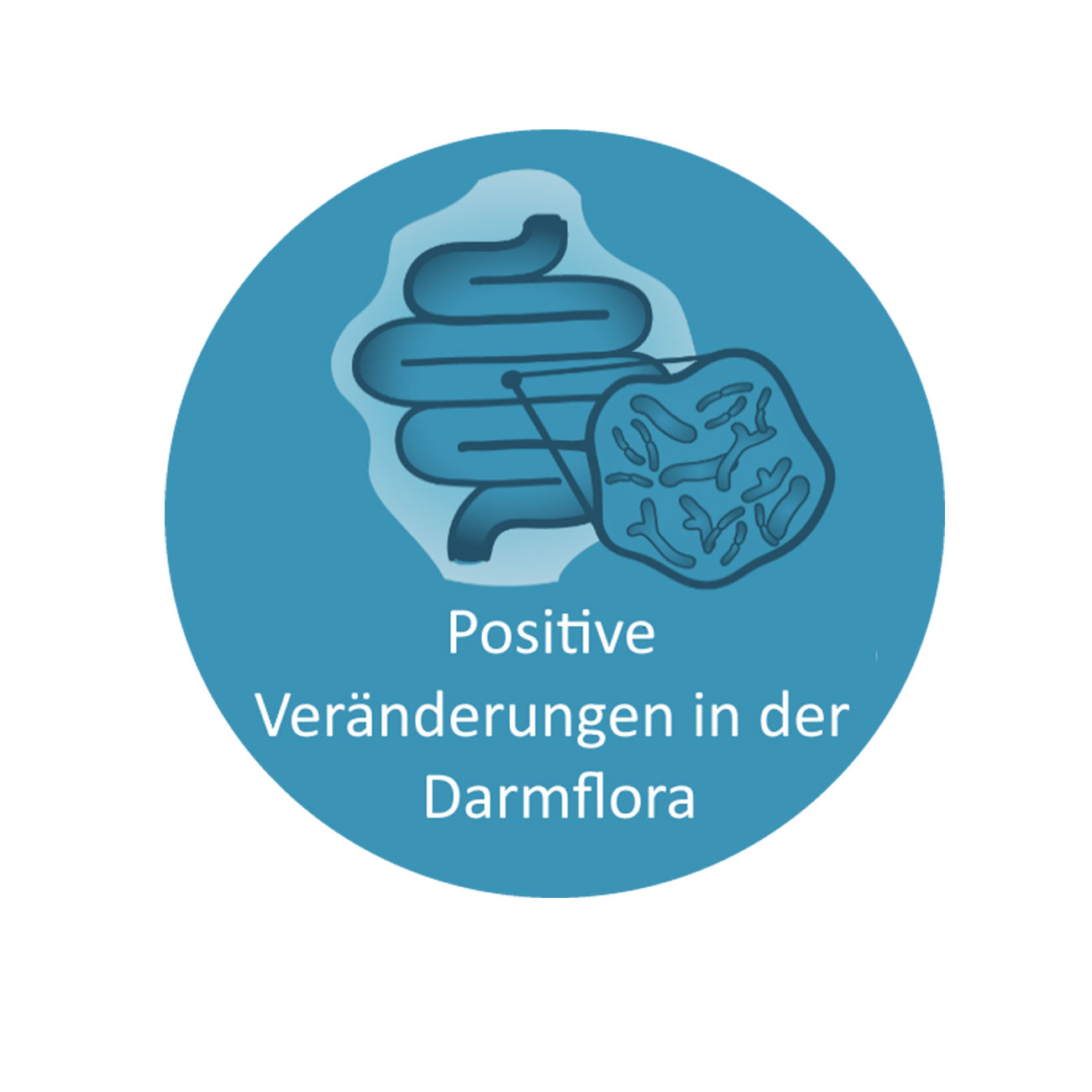 Präbiotika – Darmflora – Icon