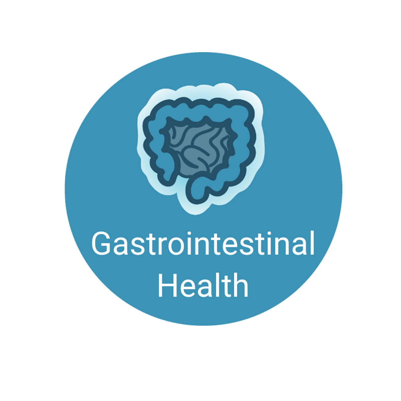 Prebiotics - gastrointestinal health - icon