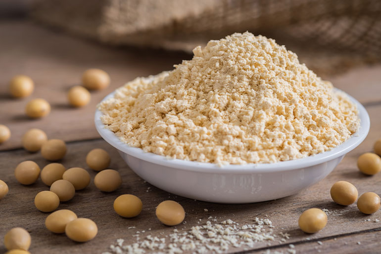 Angle shot of soy protein powder and soy beans placed on a dark wood surface