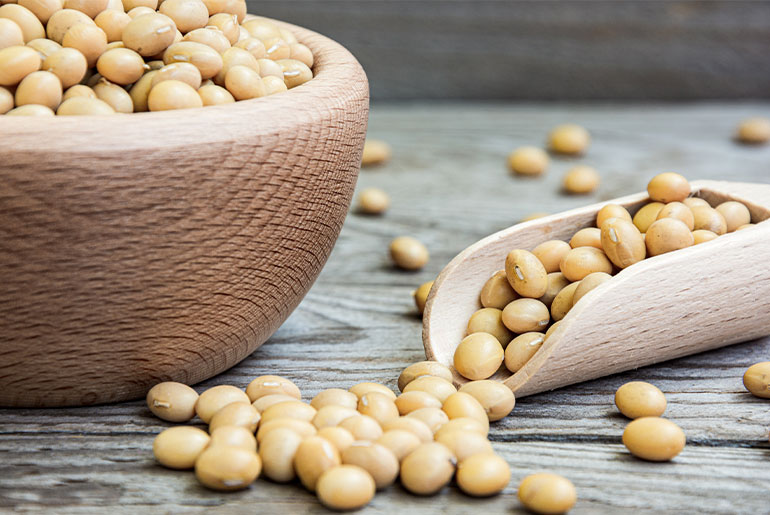 Closeup shot of a bowl of soy beans placed on a rustic wood surface
