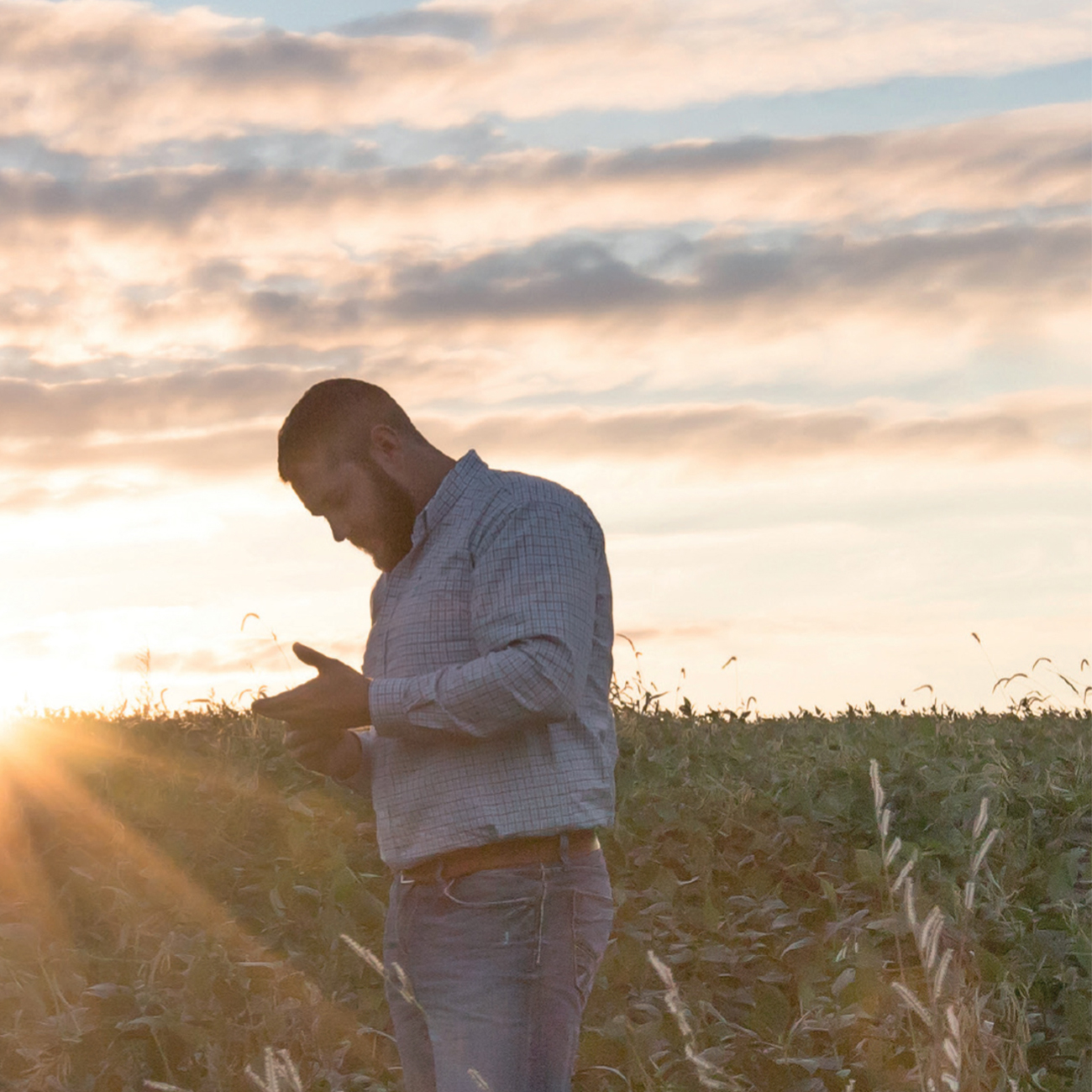 herbalife nutrition farmer checking crop in a field.