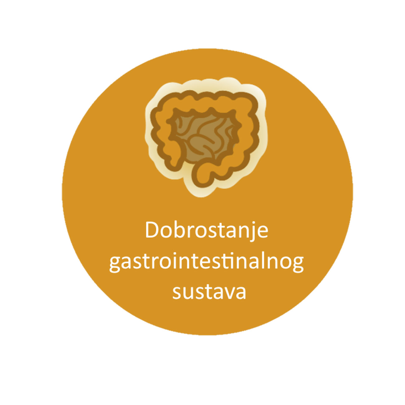 Probiotics - zdravlje gastrointestinalnog sustava - ikona