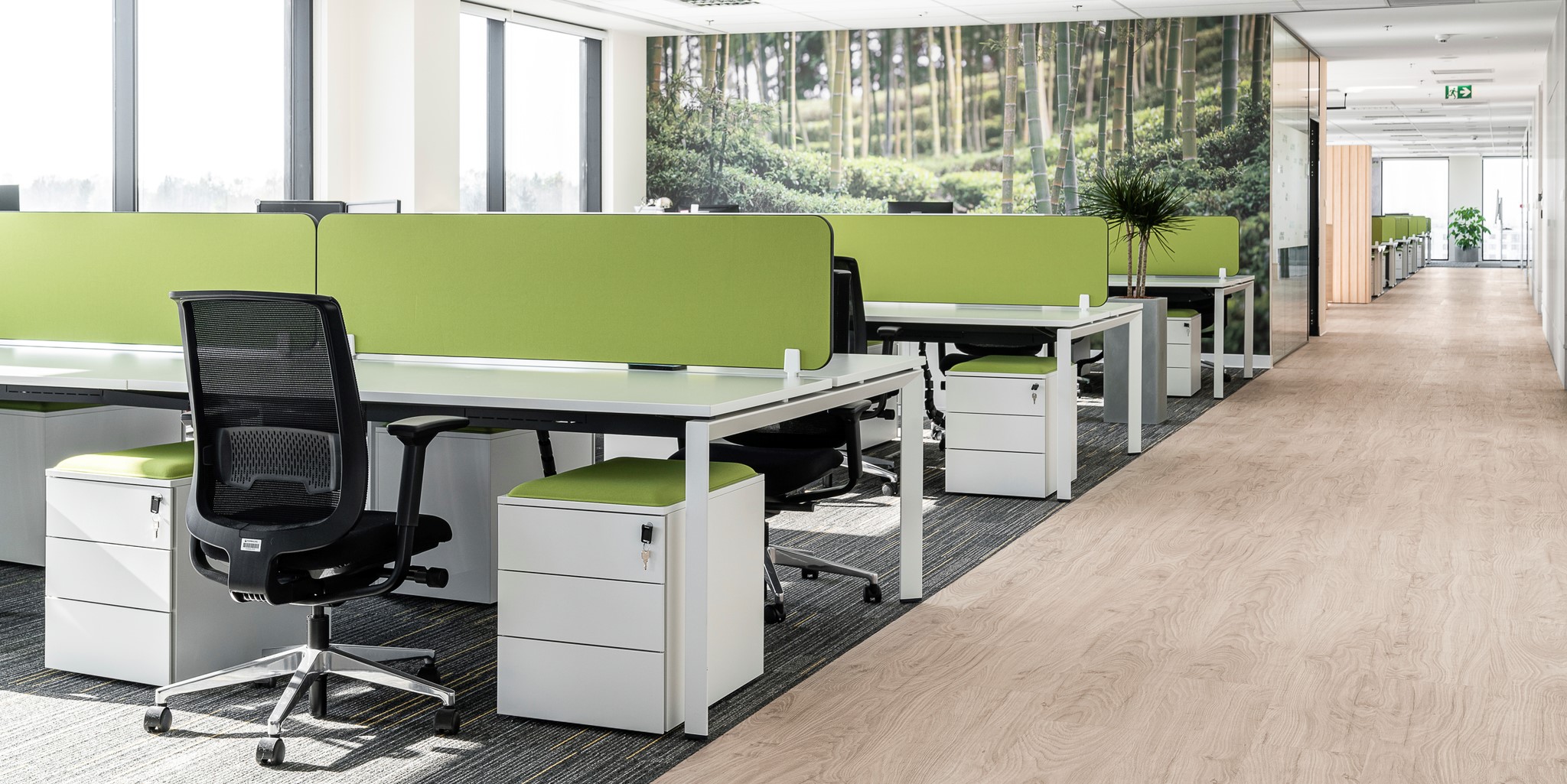 Długie ujęcie z widokiem otwartej przestrzeni biurowej przedstawiające rzędy oddzielnych biurek, szafek, krzeseł, brandingową tapetę na ścianie z egzotycznym lasem