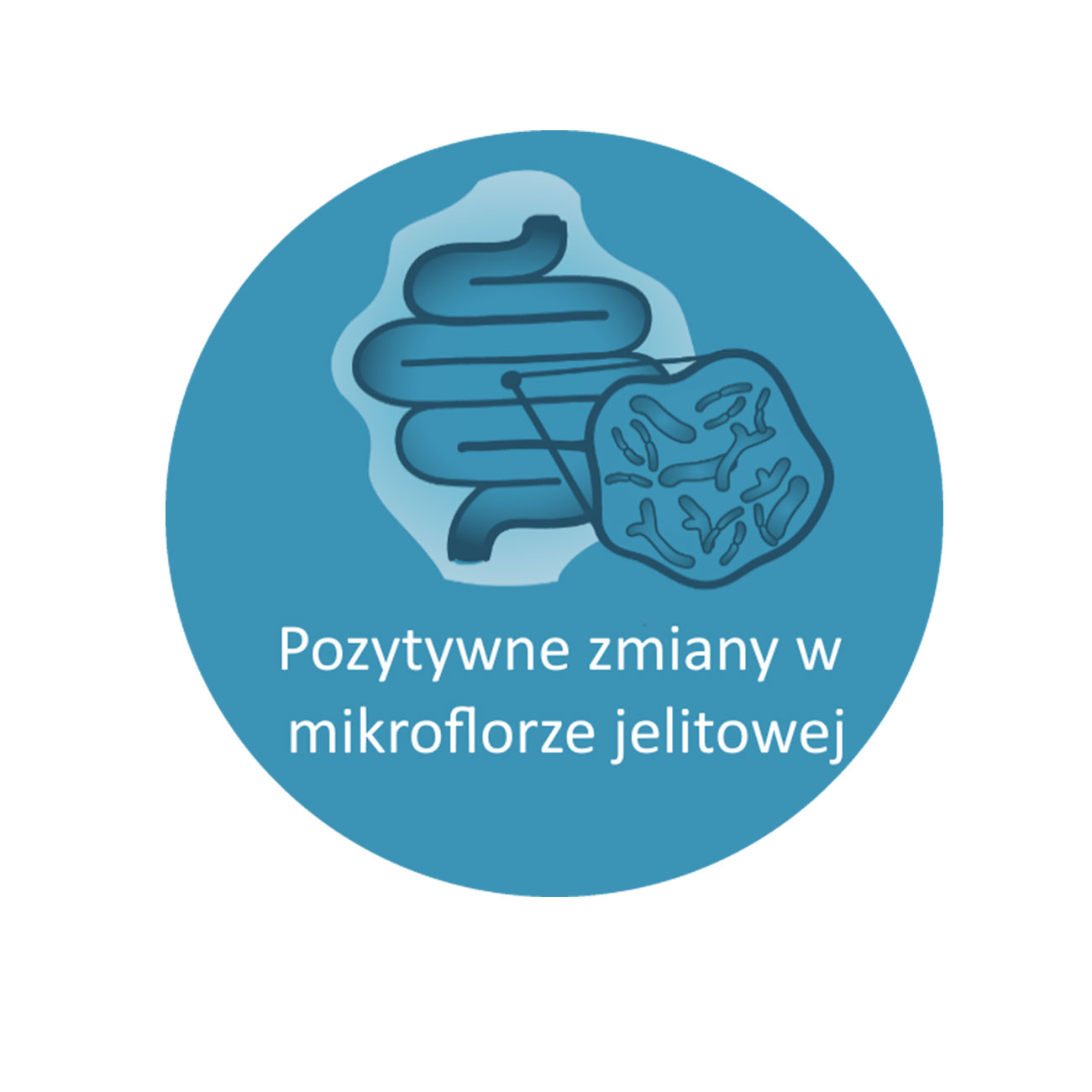 Prebiotyk – mikroflora jelitowa - ikona