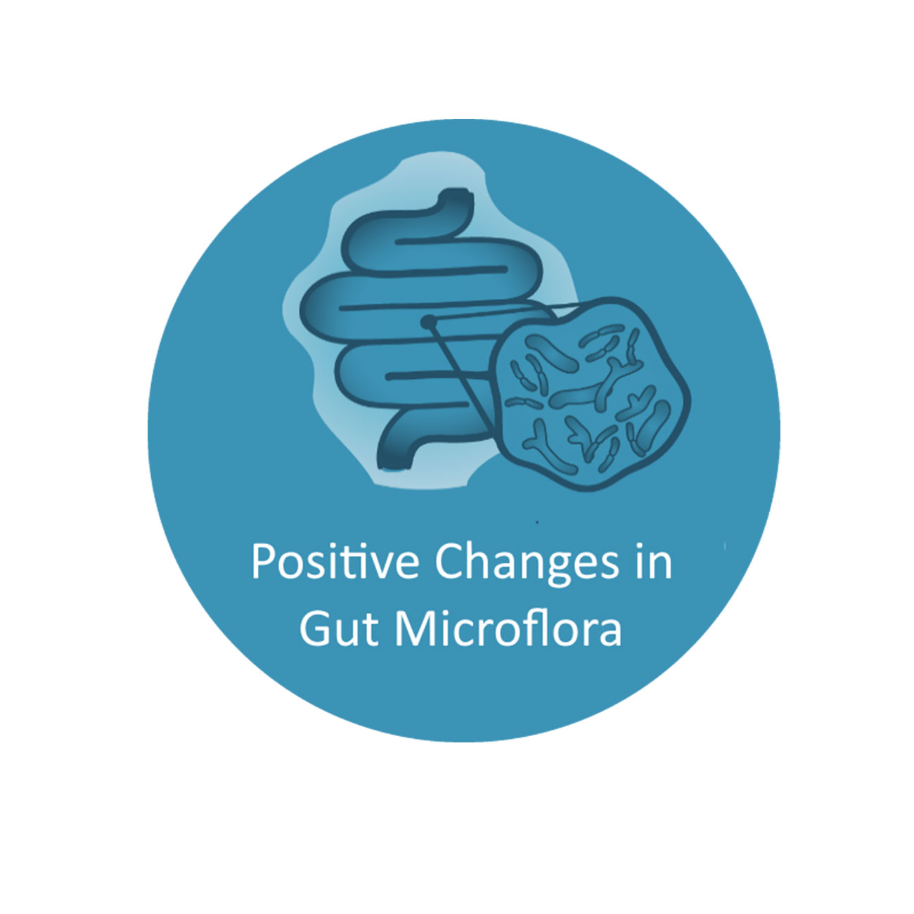 Prebiotic - microflora intestinală - icon