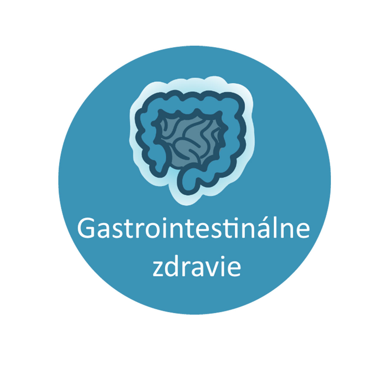 Prebiotiká - gastrointestinálne zdravie - ikona