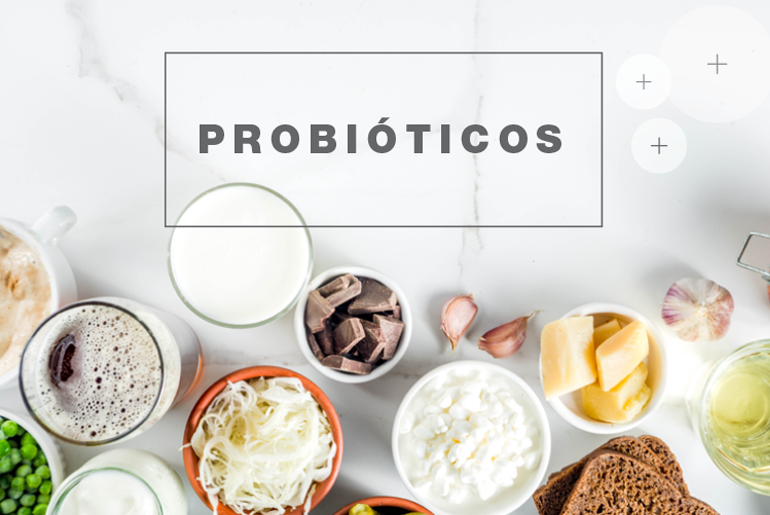 Probióticos