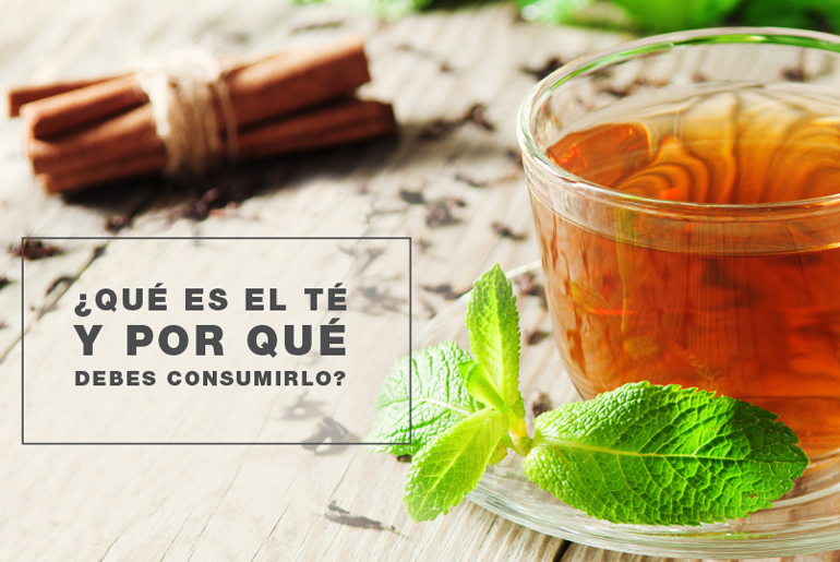 ¿Qué es el té y por qué debes consumirlo? Herbalife Nutrition MX